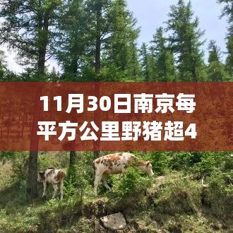 成功案例 第356页