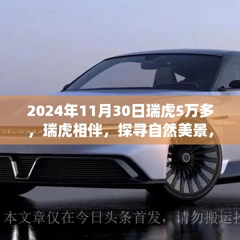 成功案例 第355页