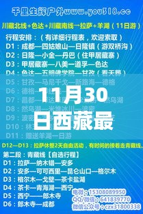 成功案例 第348页