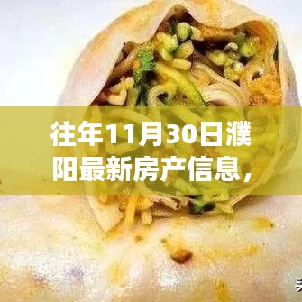 公司概况 第407页