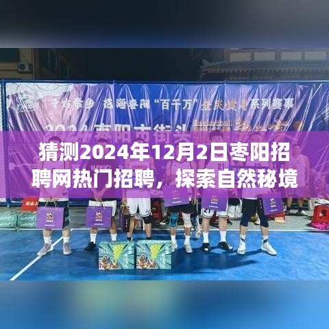 枣阳招聘网热门职位预测之旅，探索自然秘境，追寻内心平静之旅（2024年预测）