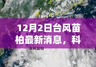 台风苗柏带动科技革新，智能生活体验报告——最新高科技产品亮相报告