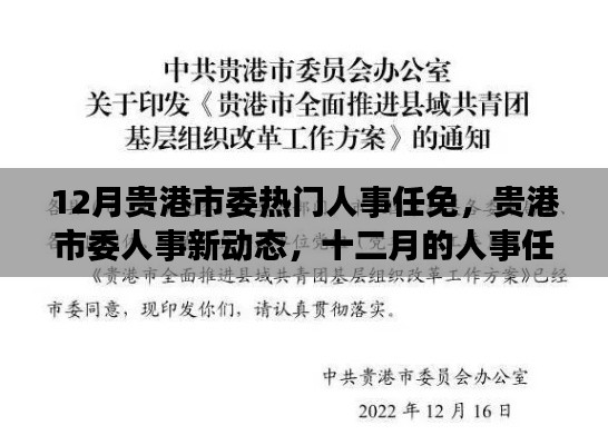 贵港市委人事任免新动态，十二月人事调整与友情的温暖故事