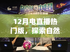 12月电直播热门版，自然美景之旅，探寻内心的宁静与平和