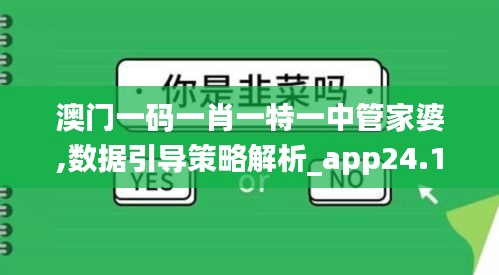 澳门一码一肖一特一中管家婆,数据引导策略解析_app24.125-3