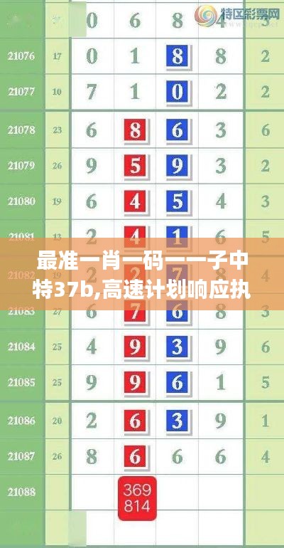 最准一肖一码一一子中特37b,高速计划响应执行_1440p6.149
