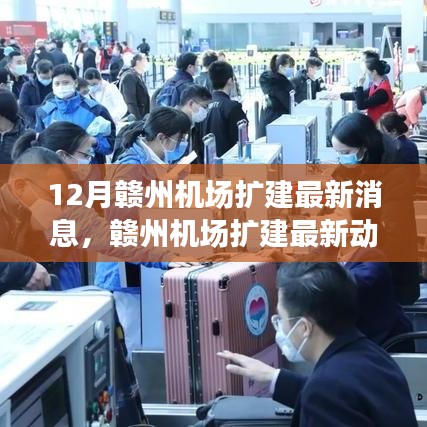采椽不斫 第4页