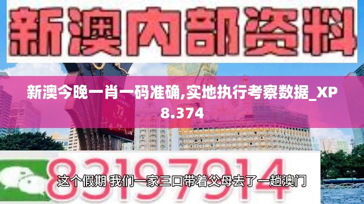 新澳今晚一肖一码准确,实地执行考察数据_XP8.374