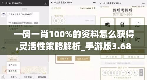 一码一肖100%的资料怎么获得,灵活性策略解析_手游版3.682