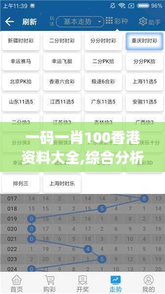 一码一肖100香港资料大全,综合分析解释定义_专属款110.670