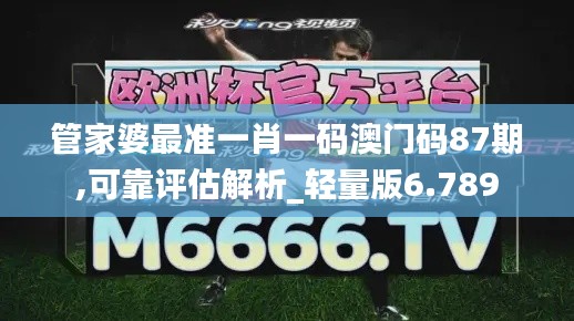 管家婆最准一肖一码澳门码87期,可靠评估解析_轻量版6.789