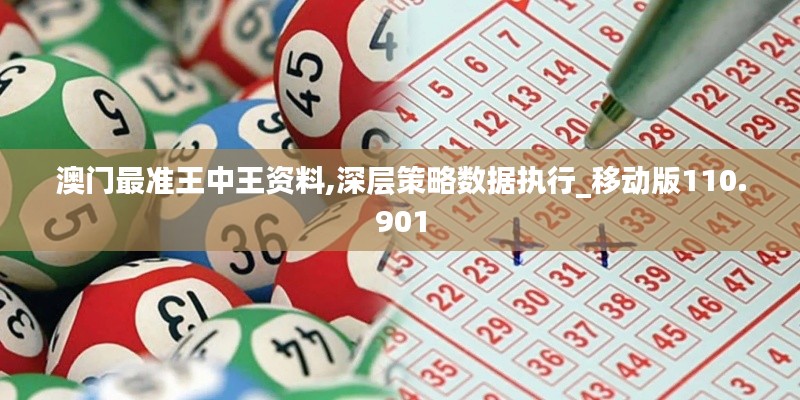 澳门最准王中王资料,深层策略数据执行_移动版110.901