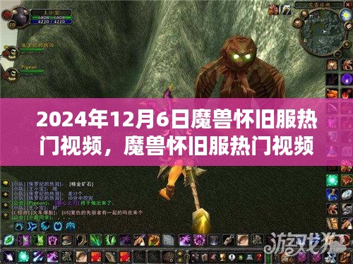 衣无二彩 第3页