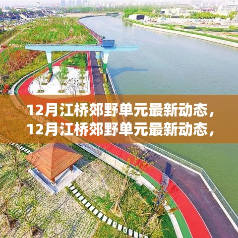 百鸟归巢 第3页