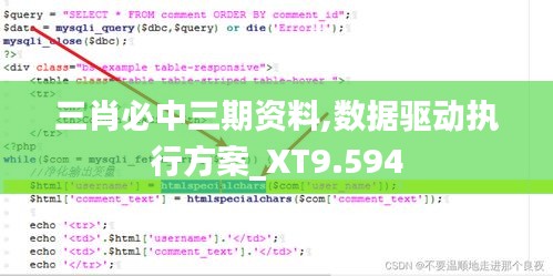 三肖必中三期资料,数据驱动执行方案_XT9.594