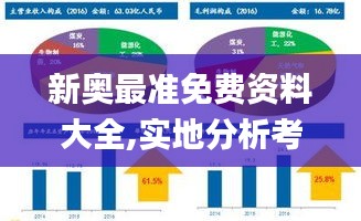 新奥最准免费资料大全,实地分析考察数据_交互版17.246