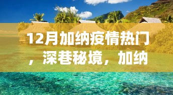 不飞则已 第3页