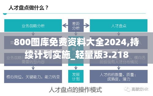 800图库免费资料大全2024,持续计划实施_轻量版3.218