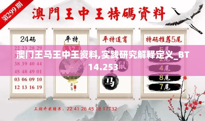 澳门王马王中王资料,实践研究解释定义_BT14.253