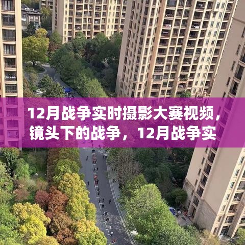 百鸟齐鸣 第3页
