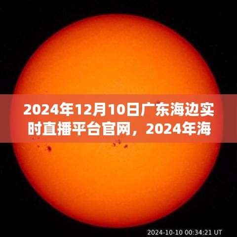 无影无踪 第3页