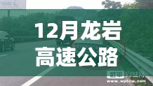 虎视眈眈 第3页