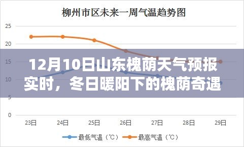 山东槐荫冬日暖阳天气预报，与友情共融的奇遇日