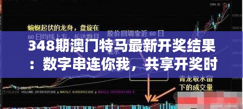 林下风气 第2页