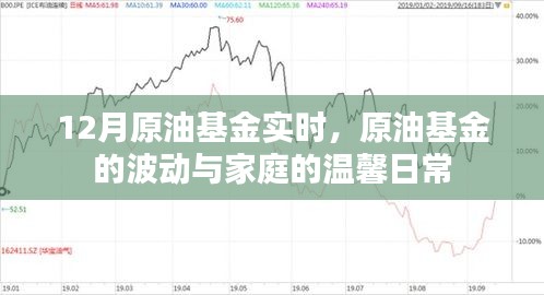 原油基金波动下的家庭温馨日常，实时分析与关注