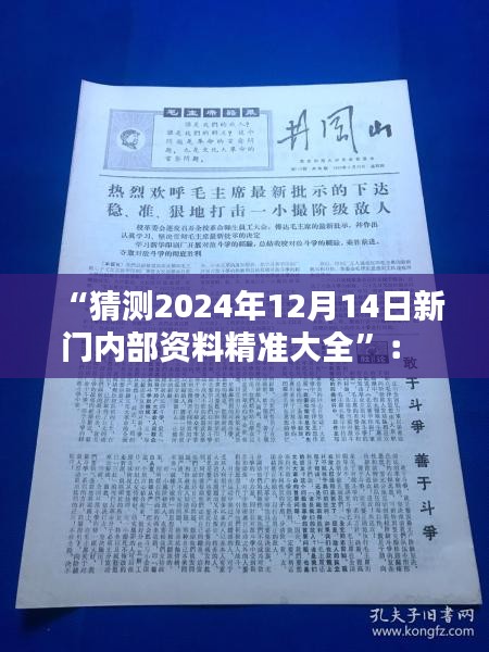 “猜测2024年12月14日新门内部资料精准大全”： 对新门行业未来走向的思考