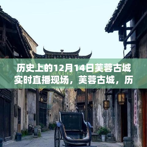 芙蓉古城直播盛典，历史中的12月14日纪实直播回顾