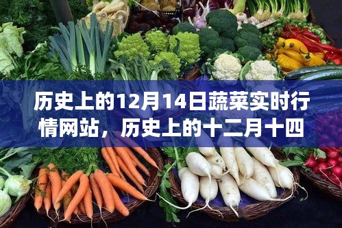第1270页