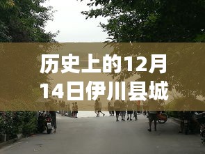伊川之约，历史12月14日路况实时查询与温馨故事