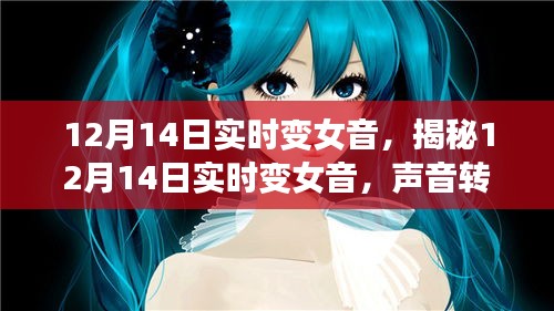公司概况 第228页