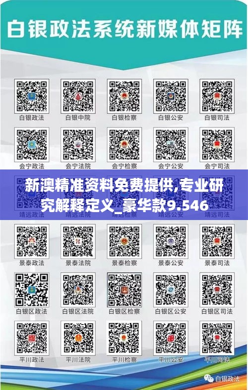 新澳精准资料免费提供,专业研究解释定义_豪华款9.546