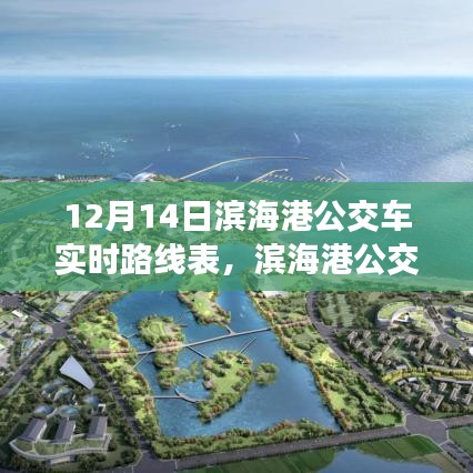 滨海港公交车实时路线表详解，12月14日运营概览