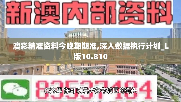 澳彩精准资料今晚期期准,深入数据执行计划_L版10.810