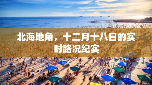 千载难逢 第2页