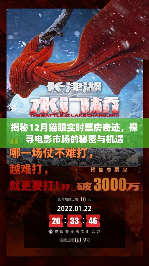 揭秘电影市场秘密与机遇，猫眼实时票房奇迹背后的故事（12月篇）