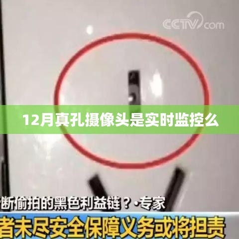 十全十美 第2页