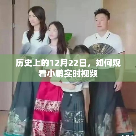 飞来横祸 第2页