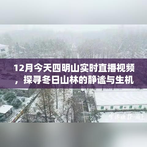 尽心尽力 第2页