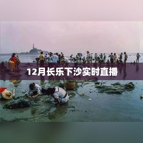 蛙鸣鼓吹 第2页