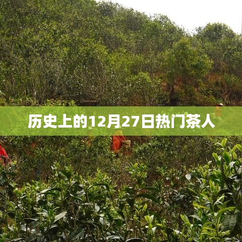 臼灶生蛙 第2页