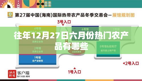 倦鸟思归 第2页