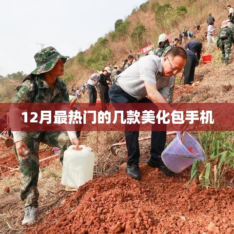 夫荣妻贵 第2页