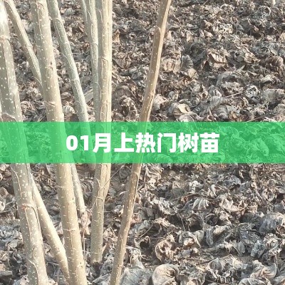 插翅难飞 第2页