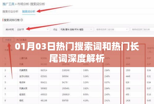 01月03日搜索词与长尾词深度解析报告