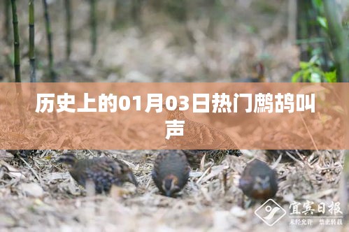 知错就改 第2页