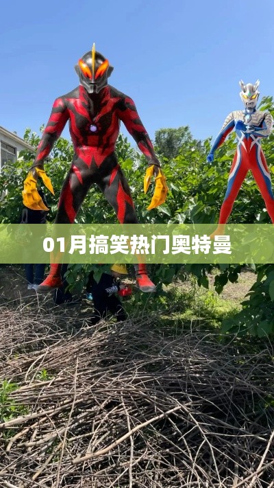 杳无音讯